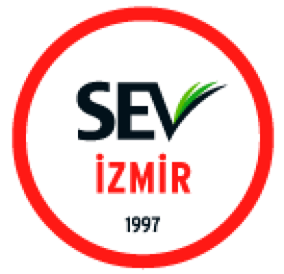 ISEV - Yapay Zekâ ile Keşfet, Düşün, Üret