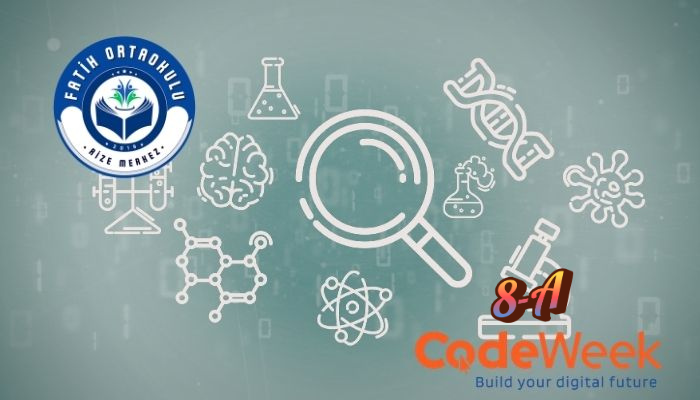 Akıllı Seralar: Bitkilerimizin Büyüme İhtiyaçlarını Dijital Olarak Takip Ediyoruz.