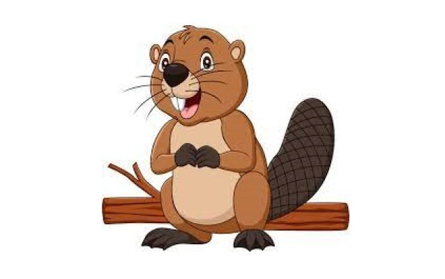 Beaver Achiever