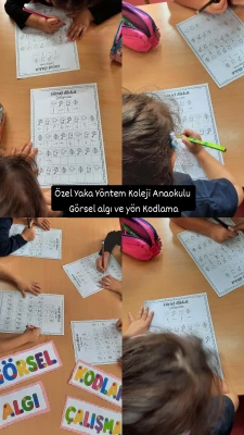 Visual perception and encoding study
