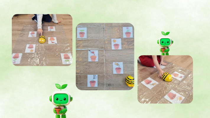 «Από το σποράκι στο φυτό!»