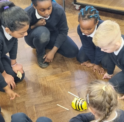 Coding across the school