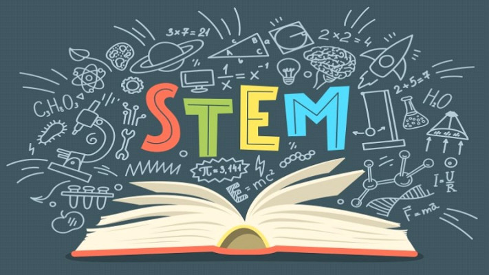 STEM Etkinliği