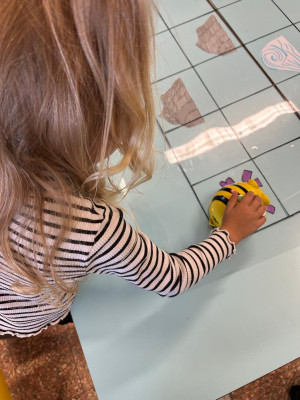 "Piccolo Granchio raggiunge il mare"