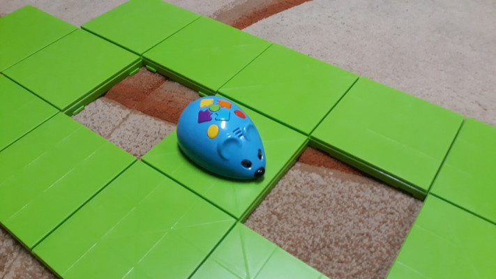 Kodowanie z Mouse Robot