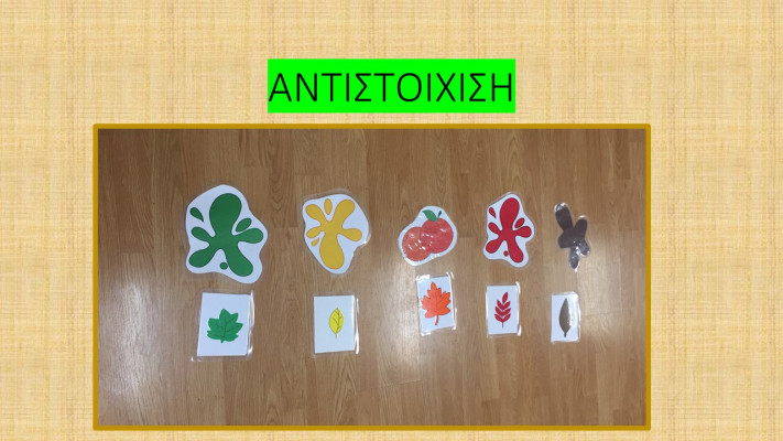 ΑΝΤΙΣΤΟΙΧΙΣΗ ΧΡΩΜΑΤΟΣ-ΦΥΛΛΟΥ