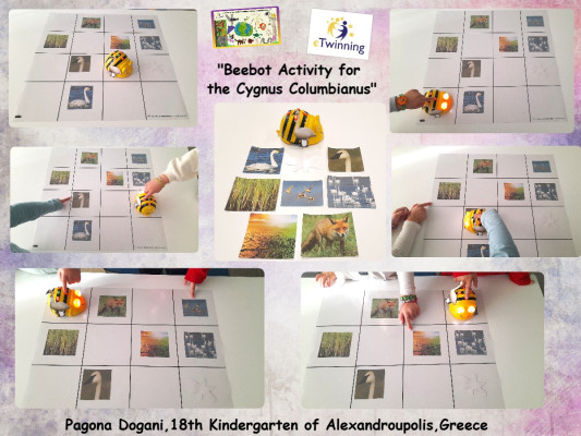 Bee-Bot Activity: The Little Bee Meets a New Friend — Our Animal!