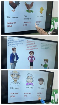 Македонски јазик -„Род и број кај именките“.