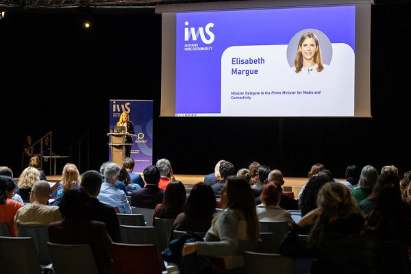 Skills in the AI Era: Preparing People and Organisations