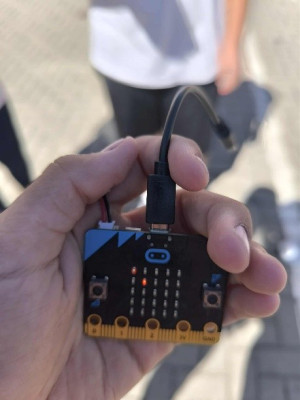 Microclimate Trail — Where is it Cooler?