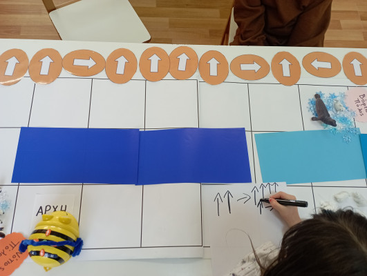 Η beebot θέλει να πάει στο Βόρειο Σέλας