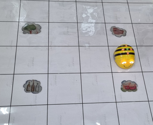 η bee bot στο ελαιοτριβείο