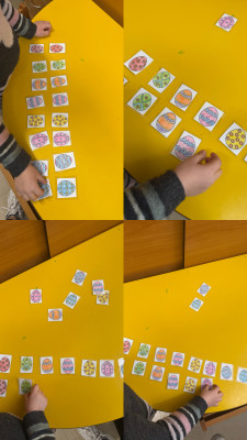 Ακολουθία αβγών