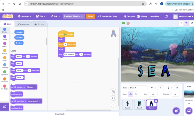 Pixel Art Words- Learn English through Coding Patterns