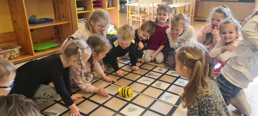 3 gadnieki iepazīstas ar Bee-Bot robotiem.