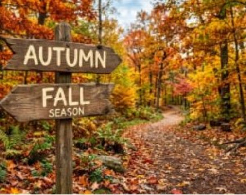 Autumn Coding: Nature’s Pixel Art