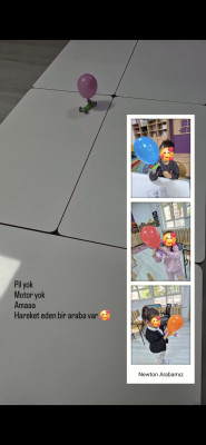 Newton araba