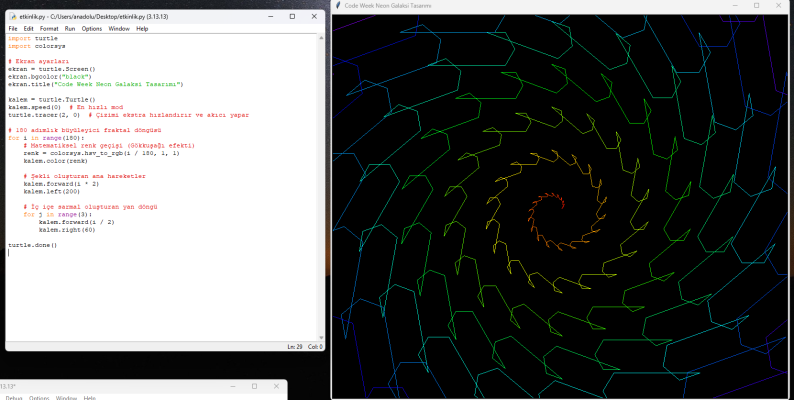 Python Turtle ile Geometrik Optik İllüzyonlar