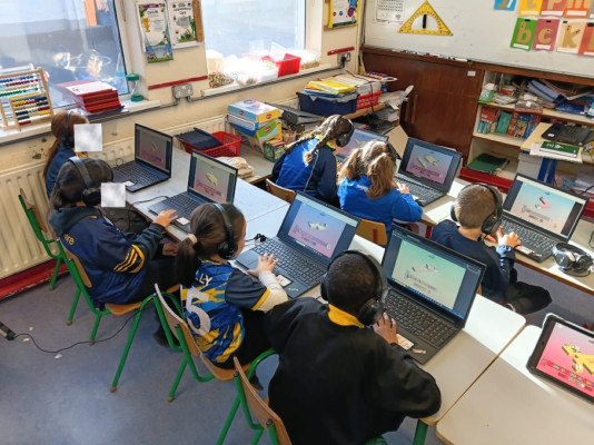 Rodocodo coding activity