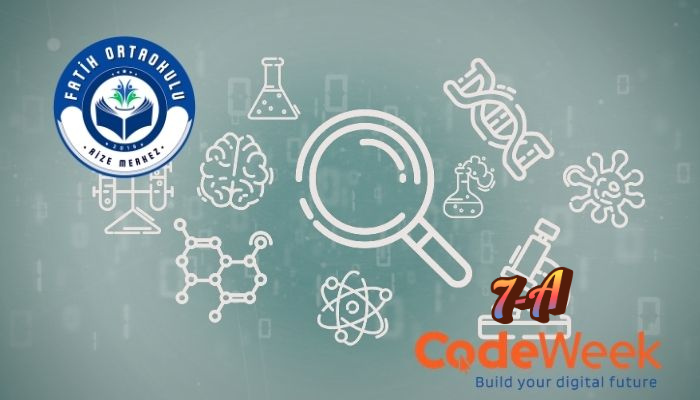 Akıllı Seralar: Bitkilerimizin Büyüme İhtiyaçlarını Dijital Olarak Takip Ediyoruz.