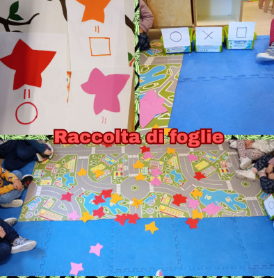 raccolta di foglie