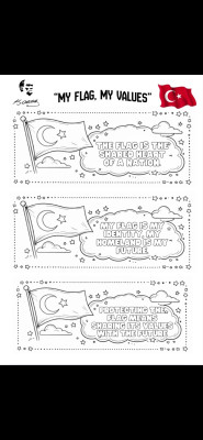 My flag my values
