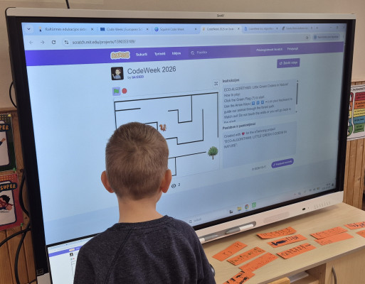 Eco-Algorithms:Little Green Coders in Nature