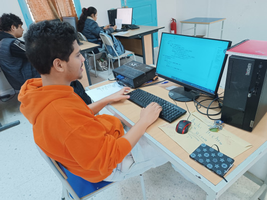 Tri et Recherche dans une Matrice en Python