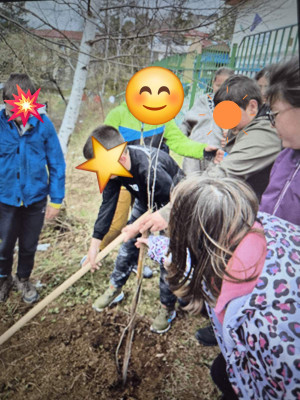 Coding for Nature