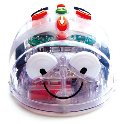 Coding with Blue-Bot and Tactile Reader