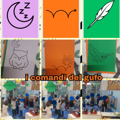 i comandi del gufo