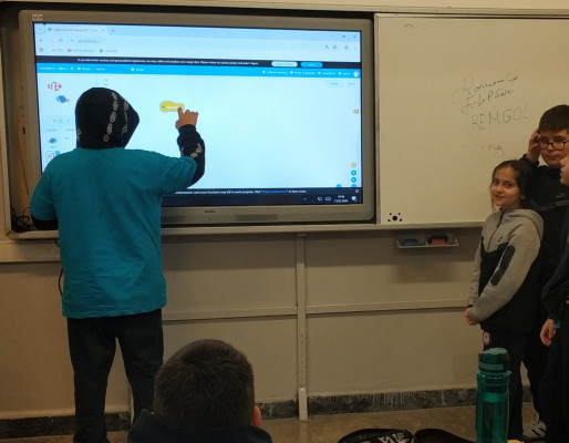 Balık Yakalama Oyunu