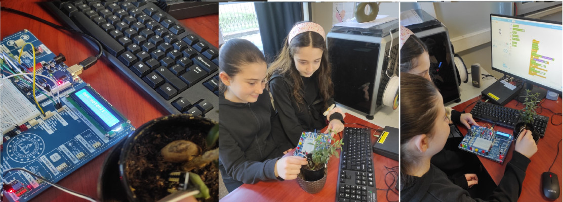 Topral Nem sensörüyle bitki sulama uyarı sistemi