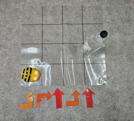 Η διαδρομή της Ζωής - Bee bot