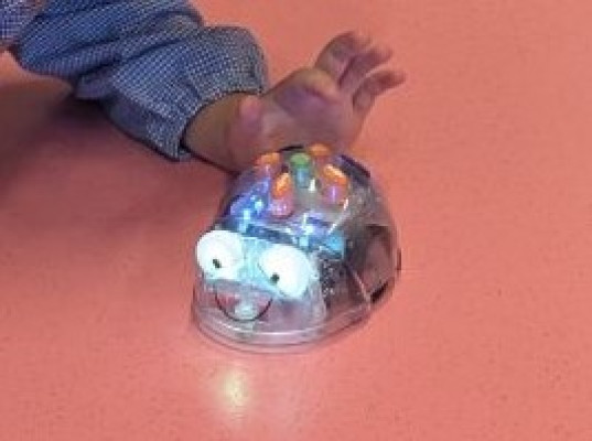 Bee Bot 2