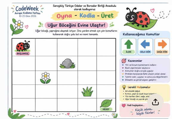 Uğur böceğini evine ulaştır