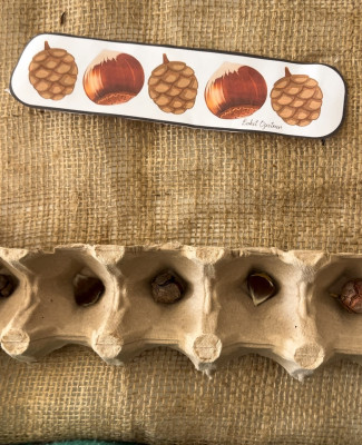 Doğanın kodları