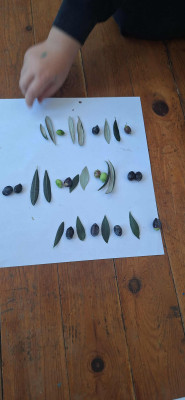 Ελιά ελίτσα