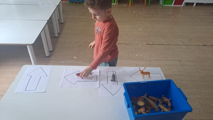 Kodlama yön oklarına göre hayvanları konumlandırma