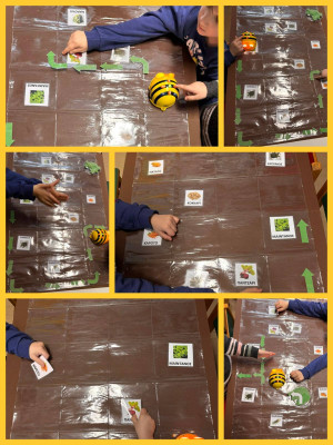 Προγραμματίζοντας το Bee-Bot στον λαχανόκηπο