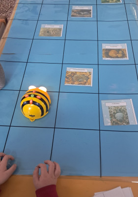 ΖΏΑ ΣΕ ΧΕΙΜΕΡΙΑ ΝΑΡΚΗ