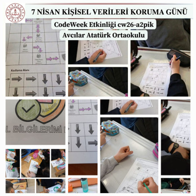 Veri kalkanı boyama ve veri kalkanı algoritma etkinliği