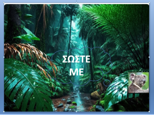 Σώστε με! - Το κοάλα και η απειλή των βιότοπών του