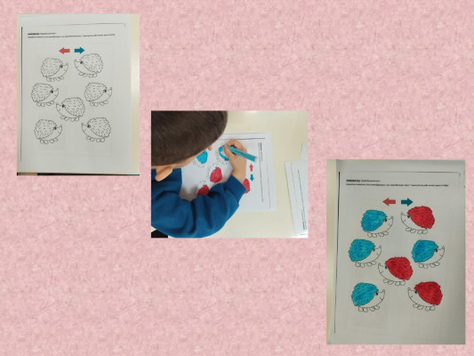 Οι σκαντζόχοιροι έχασαν τον προσανατολισμό τους!!