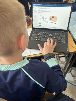 Sample Bebras Challenges