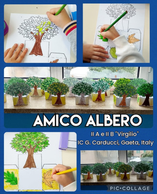 Amico Albero