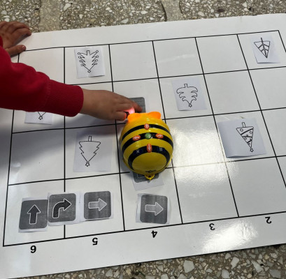 Διάλεξε το χριστουγεννιάτικο δέντρο!