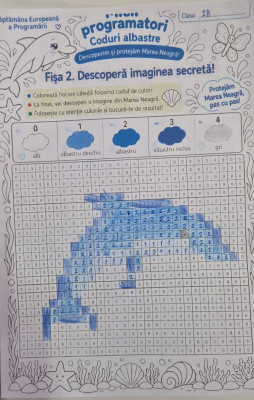 Mici programatori