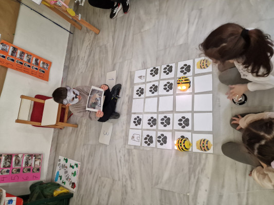 Τι χρειάζεται το αδέσποτο ζωάκι;/What does the homeless animal need?