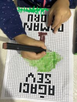 Green Homeland Coding Event